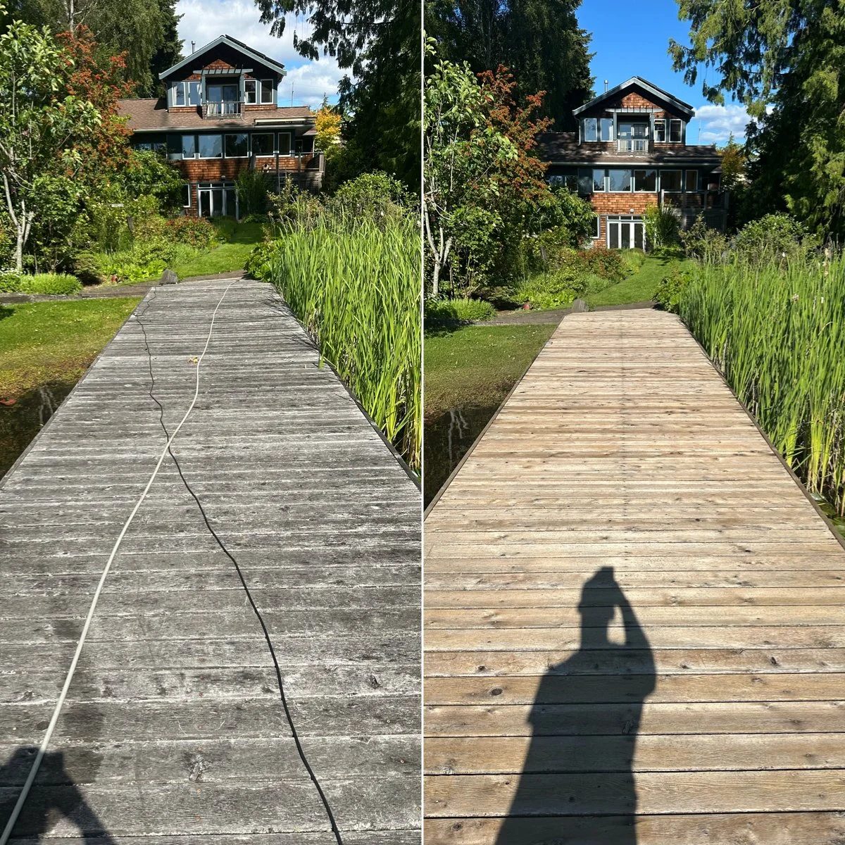 Before and after comparison of a weathered Vashon Island wooden dock, grey and algae-stained on the left, clean bright wood on the right